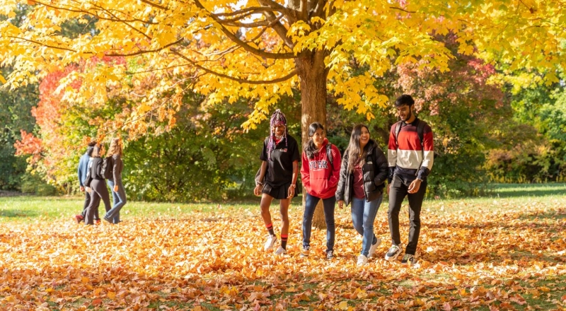 Fall Campus Day (Keele Campus)